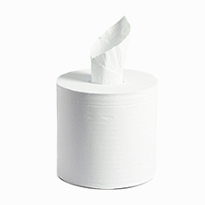 Centre Pull 2ply White Towel 6RL/CS